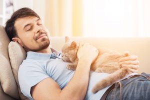 Cat Vaccinations at Home | Vets 2 Your Pet | Mobile Cat Vet