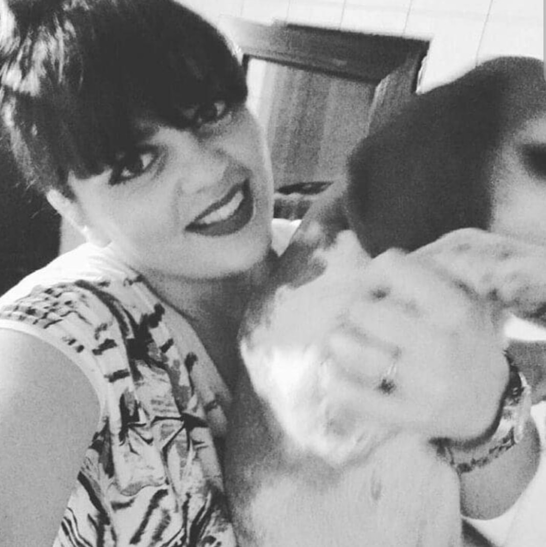 Mobile Vet Near Me Vet Practice Branches Vet Locations