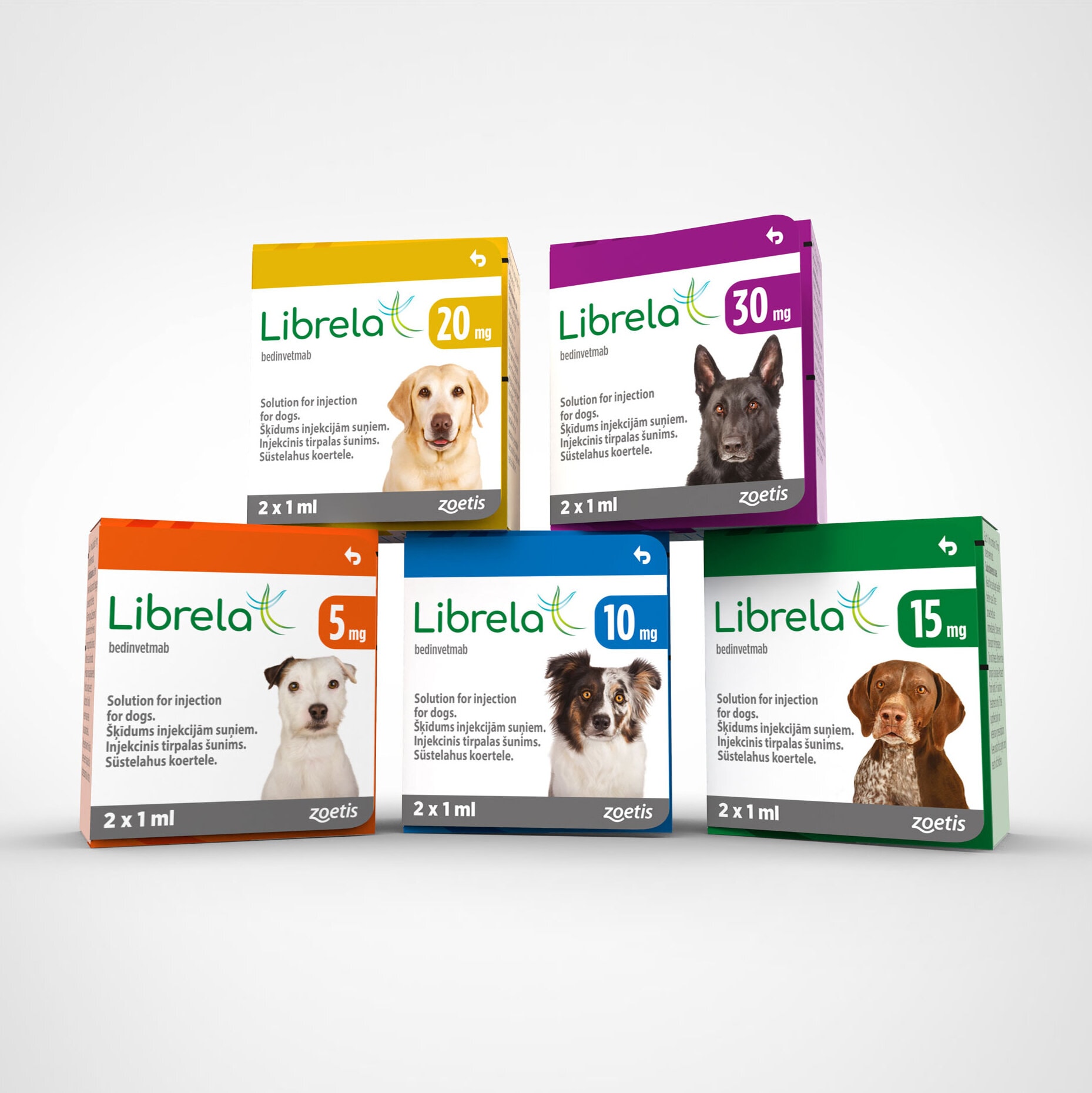 Librela injections for dogs. Librela arthritis treatment at home