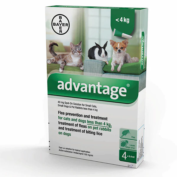 Flea treatment, Spot-on, Advantage, Cat, Dog, Rabbit