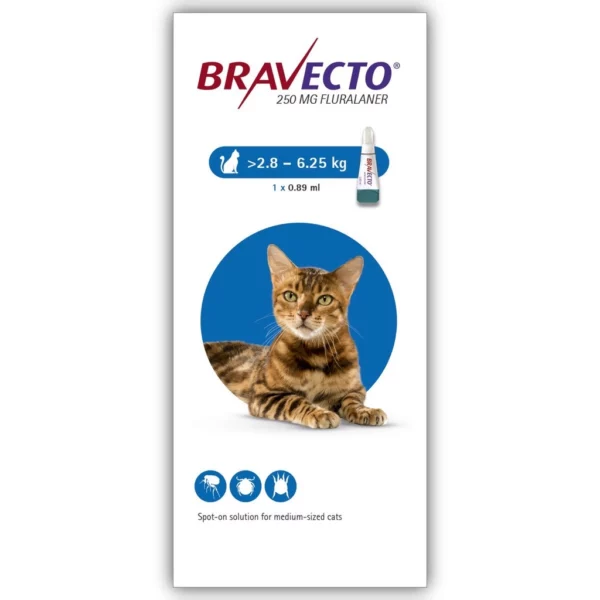 Bravecto, Spot-On for Cats, Flea Treatment, Medium Cat
