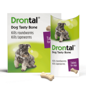 Drontal tasty bone packet, worming tablet for dogs