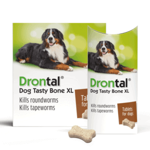 Drontal tasty bone XL packet, worming tablet for large dogs
