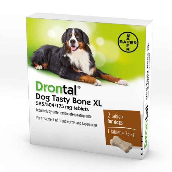 Drontal tasty bone XL packet, worming tablet for large dogs