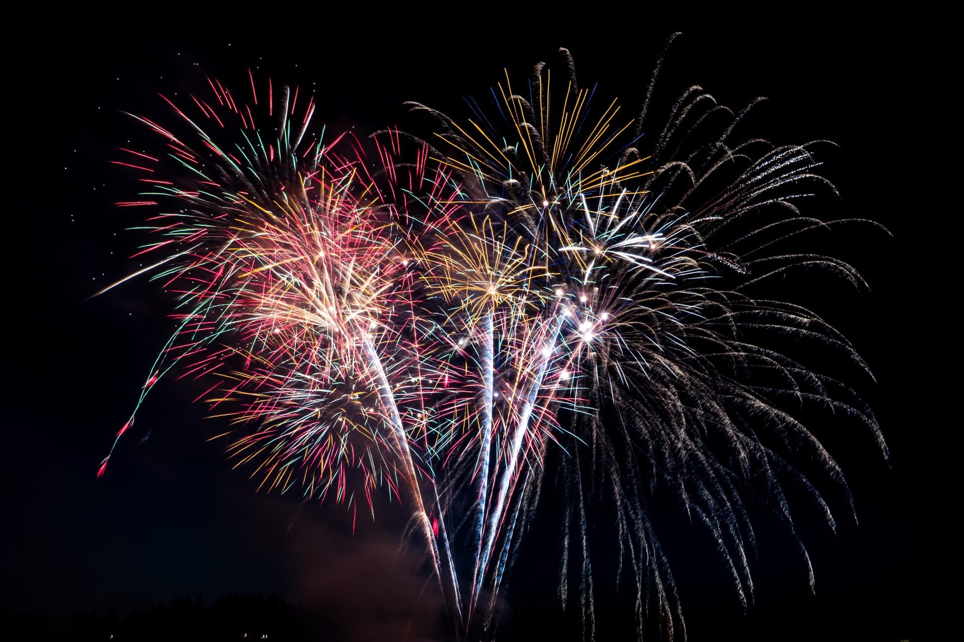 Fireworks against a night sky