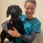Mobile vet for Northamptonshire and Bedfordshire