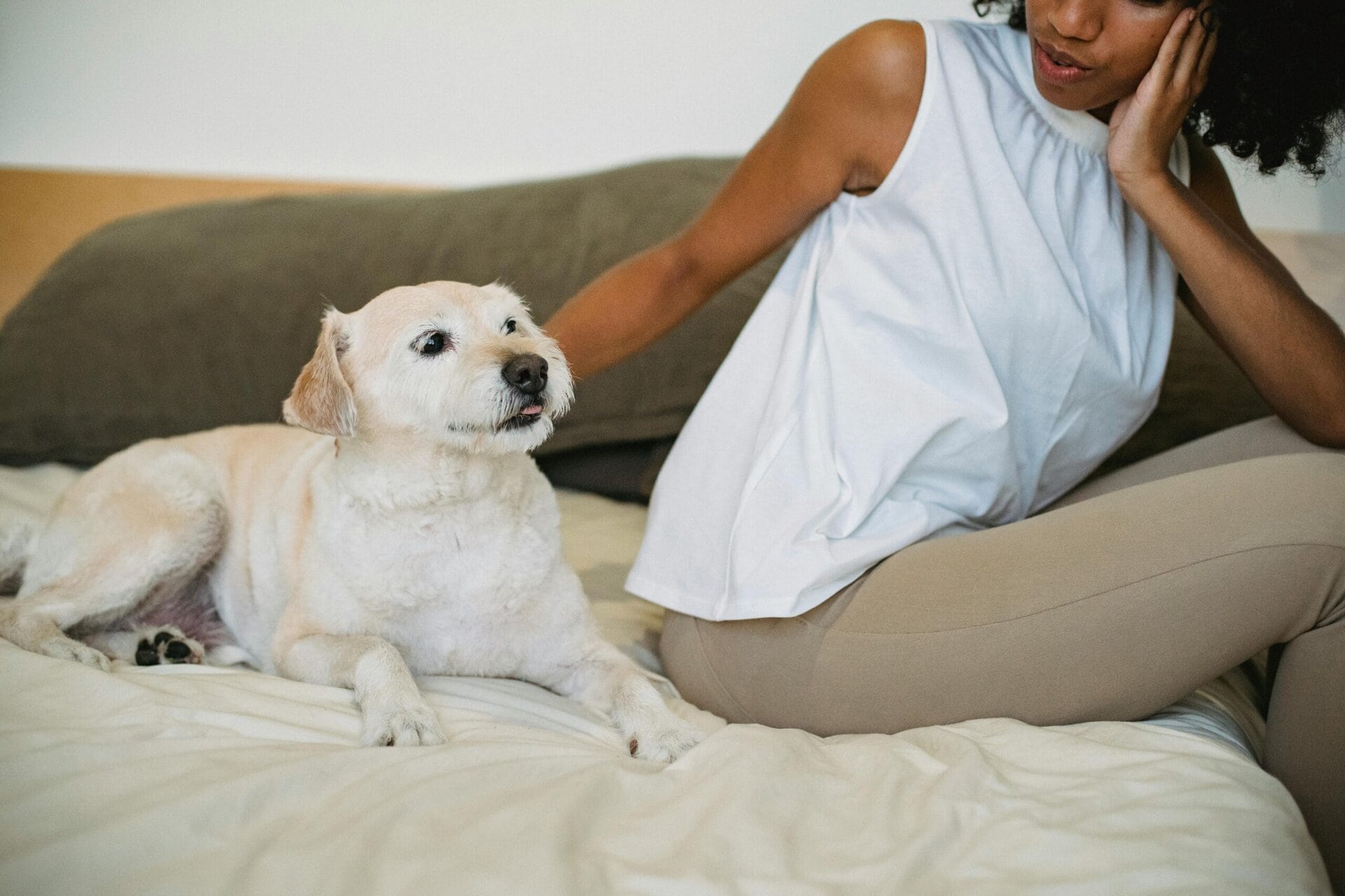 Owner at home with older dog on couch