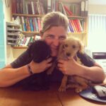 Image of mobile vet opperaring in Cirencester and Gloucestershire