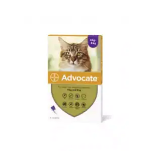 Advocate 80 Spot-On for Large Cats 4-8kg 3 Pack or 6 Pack