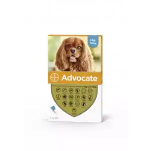 Advocate 100 Medium Dogs 4-10kg 3 Pack or 6 Pack