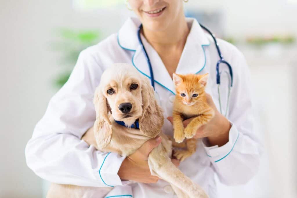 Annual Vaccinations and health checks for pets