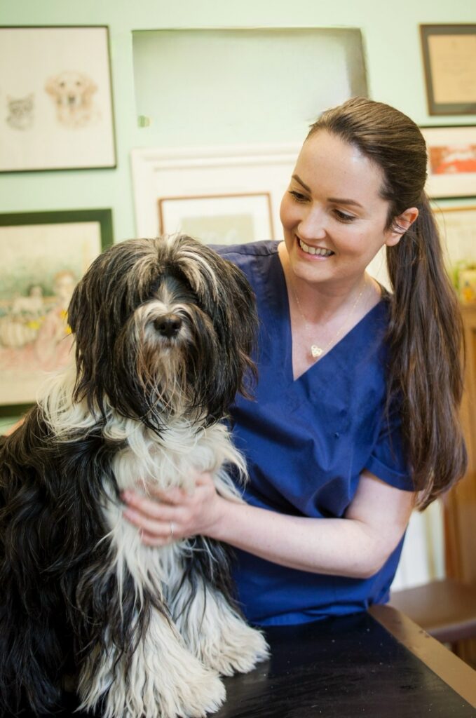 mobile vet Joanna sitting and carfing for a dog
