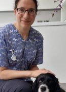 Mia home visit mobile vet in southgate north london